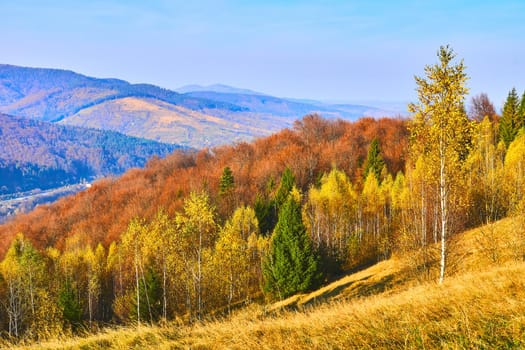 Golden bright autumn in the mountains on a warm day. Autumn is one of the four temperate seasons. Outside the tropics, autumn marks the transition from summer to winter