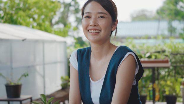 Positive beautiful young woman gardener smiling laughing looking to camera at greenhouse, Portrait of happy female confident smile