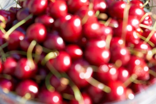 Lots of ripe red cherries out of focus. Fresh harvest of sweet cherries in blur