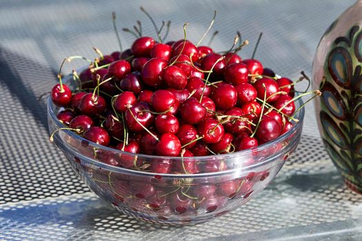 Lots of ripe red cherries in a plate. Fresh cherry harvest