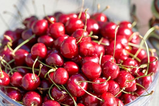 Lots of ripe red cherries in a plate. Fresh cherry harvest