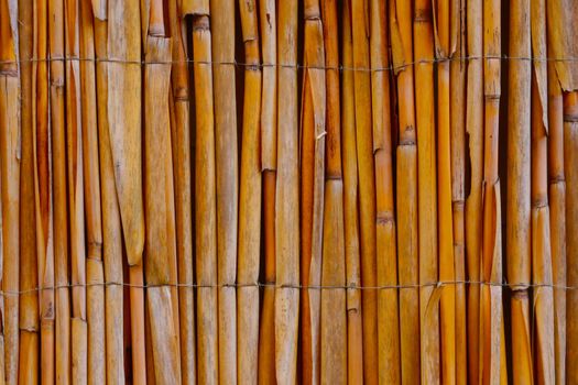 Close-up on a bamboo fence in the park. Background, texture