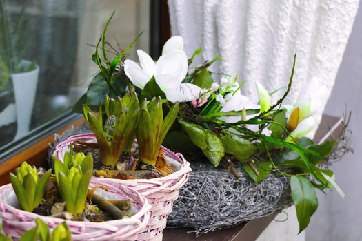 There is a flowerpot with flowers on the windowsill