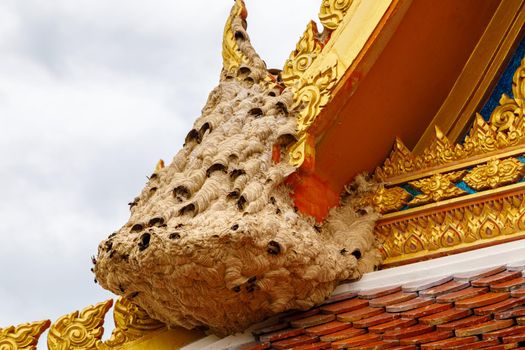 Wasp nest at the edge of the temple roof. Close-up.