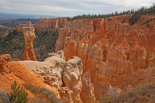 View over Bryce Canyon from Aqua Canyon