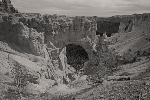 Monochrome view over Bryce Canyon from The Natural BridgeMonochrome view over Bryce Canyon from The Natural Bridge
