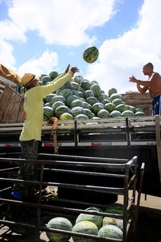 salvador, bahia, brazil - june 28, 2021: Workers unload truck with watermelons at Feira de Sao Joaquim in Salvador city.
