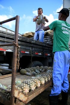 salvador, bahia, brazil - june 28, 2021: Workers unload pineapple fruit truck at Sao Joaquim fair in the city of Salvador.
