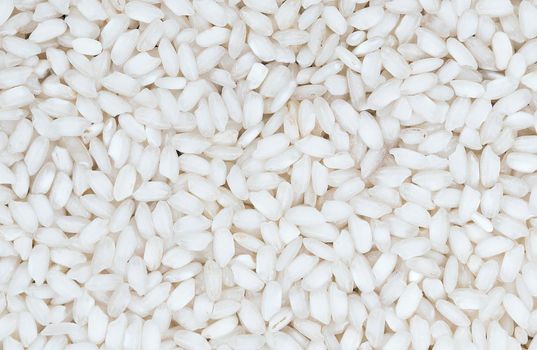 Close up shot of the white round rice background. Rice for risotto