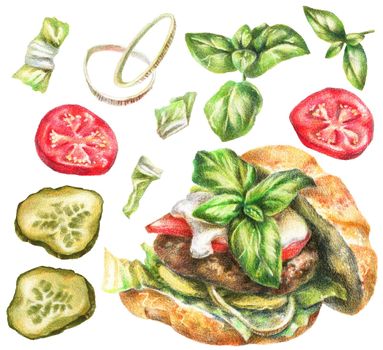 Color pencils realistic food illustration - burger, tomato, pickle, onion, basil, lettuce leaves. Hand-drawn objects on white background.