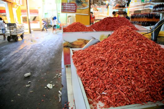 salvador, bahia, brazil - june 28, 2021: dehydrated and salted shrimp for sale at the Sao Joaquim fair in the city of Salvador.


