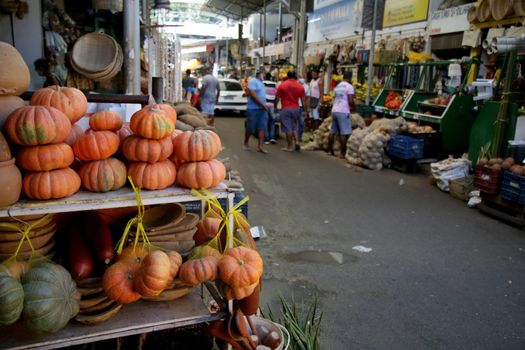 salvador, bahia, brazil - june 28, 2021: aboboras a venda na feira de Sao Joaquim na cidade de Salvador.