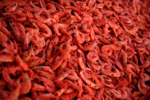 salvador, bahia, brazil - june 28, 2021: dehydrated and salted shrimp for sale at the Sao Joaquim fair in the city of Salvador.


