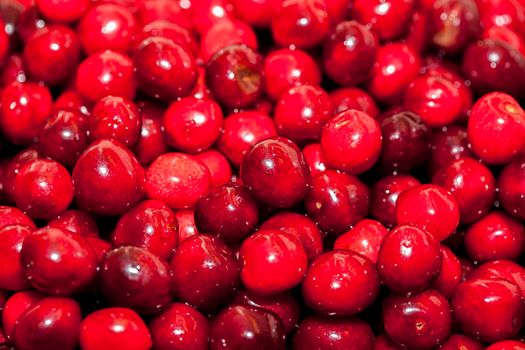 Close up of cherries. Full frame of Red cherries.