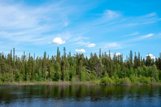 Small river flowing in boreal forest on a sunny day