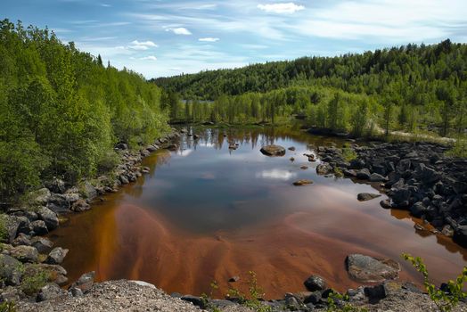 Small sandy lake in boreal forest on a sunny day