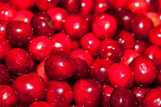 Close up of cherries. Full frame of Red cherries.