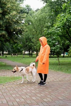 Rainy weather. Young woman in orange raincoat walking with her dog in a summer park