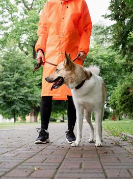 Rainy weather. Young woman in orange raincoat walking with her dog in a summer park