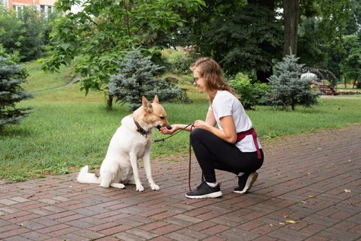 young caucasian woman training her dog in a park. Dog obedience training