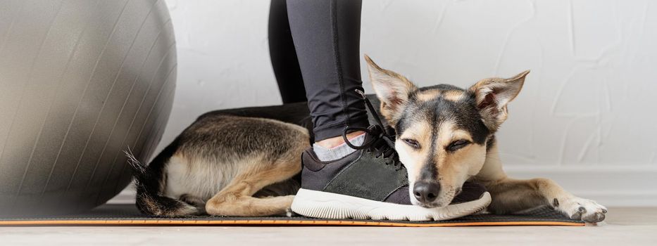 Sport and healthy lifestyle concept. Female legs in sneakers. Cute mixed breed dog lying on the feet of the woman