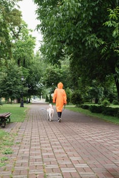 Rainy weather. Young woman in orange raincoat walking with her dog in a summer park