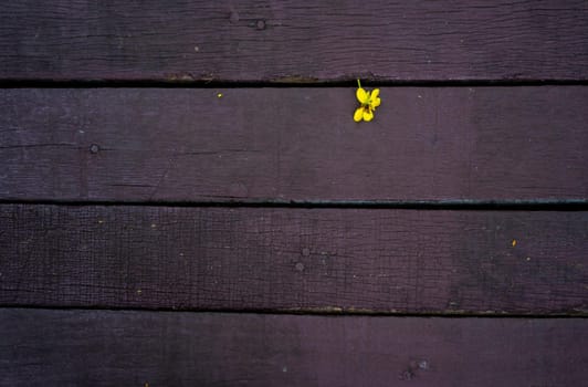 small yellow flower fall on wooden floor