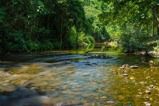 Small stream from mountain in the forest