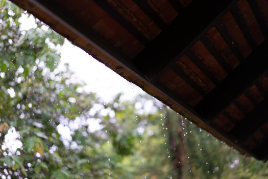 Rain drops falling from roof with bokeh background