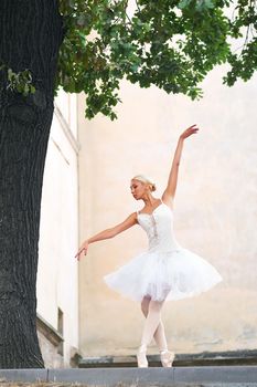 Graceful young ballerina posing elegantly outdoors performing under the big tree dancing gracefully.