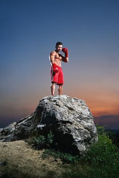 Young muscular boxer posing shirtless outdoors standing on top of a rock wearing boxing gloves sport motivation sportsperson lifestyle professional fighter martial arts tough masculinity strength.
