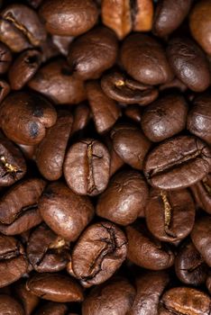 Fresh brown roasted coffee beans background, vertical photo