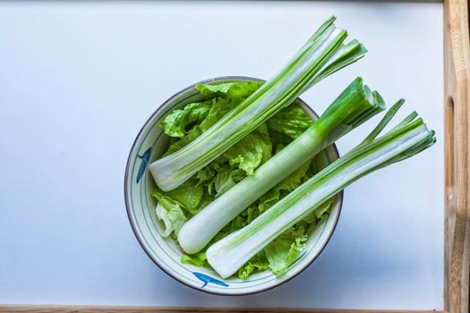 Three green onion and lettuce in a bowl on a white background. Top to bottom. Layout.