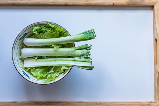Three green onion and lettuce in a bowl on a white background. Top to bottom. Layout.