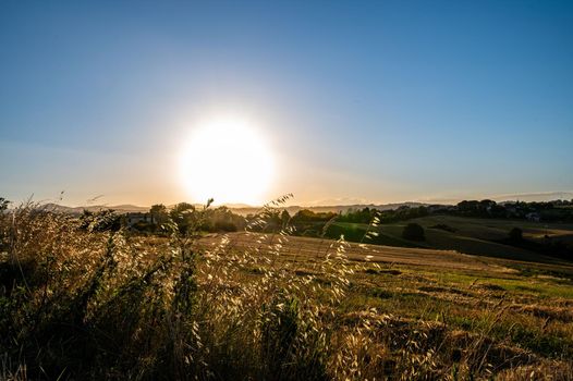 ditch grass at sunset of an orange color in the summer time