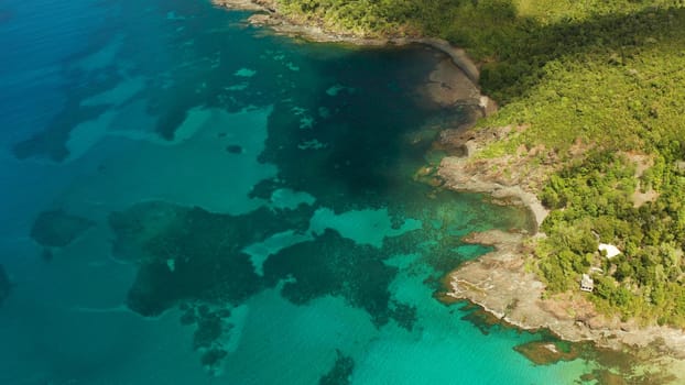 Aerial view turquoise water in the lagoon and coral reef. Palawan, Philippines. Seascape island and clear blue water tropical landscape