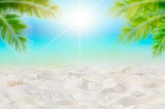 Summer vacation white sand beach with space for text coconut leaves rear frame sea view energetic floor