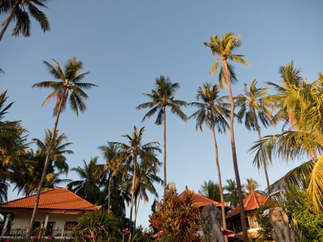 Luxury Hotel, beach resort with large bungalows, sun protection umbrellas by the sea among the palm trees. Bali, Indonesia. 4K video Travel concept,