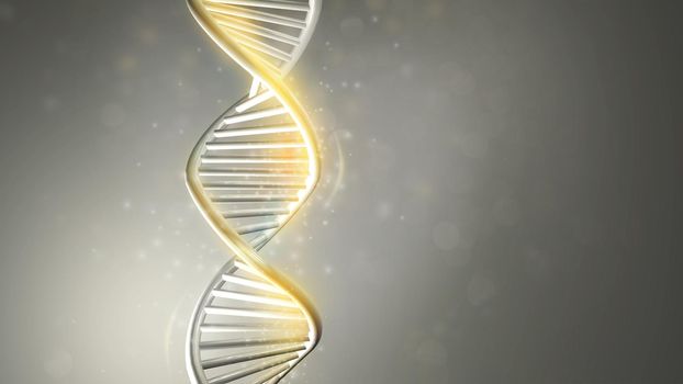 Vertical model of double helix DNA with golden glow on gray background. 3D render.