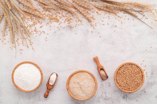 Wheat grains , brown wheat flour and white wheat flour in wooden bowl set up on white concrete background.