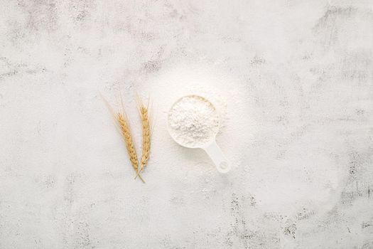 The ingredients for homemade pizza dough with wheat ears ,wheat flour and wheat grains set up on white concrete background.