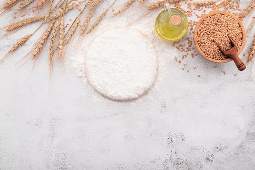 The ingredients for homemade pizza dough with wheat ears ,wheat flour and wheat grains set up on white concrete background.