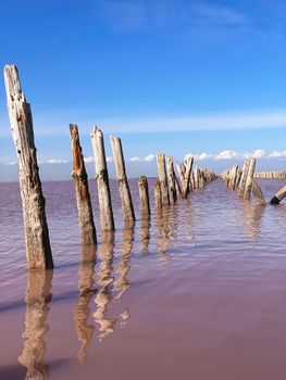 Pink salt lake in Crimea. High quality photo