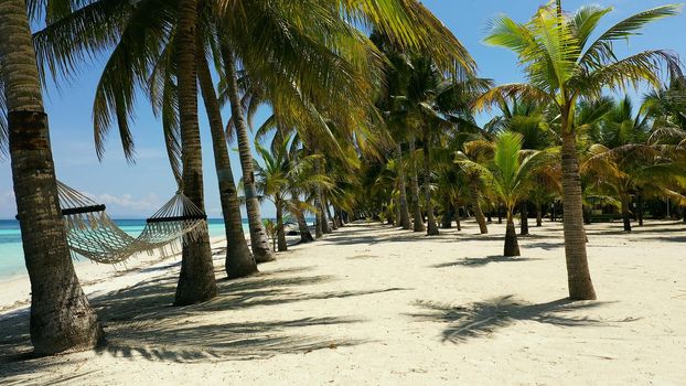 Tropical beach with with hammock and palm trees. Beautiful beach and tropical sea. Panglao island, Bohol, Philippines. Summer and travel vacation concept.
