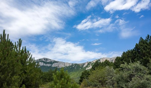 Inaccessible rocks surrounded by green forests and shrubs in hot summers in clear sunny weather.