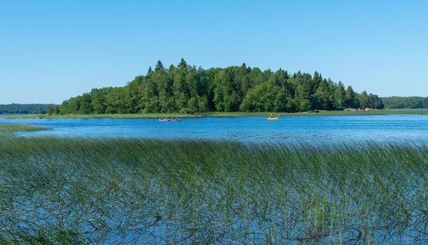 A wooded island in the middle of a small bay in the Gulf of Finland on the Baltic Sea