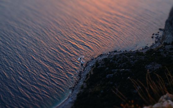 Mediterranean landscape. Forested rocks of the Black Sea coast of the southern coast of the Crimean peninsula at sunset.