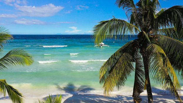 Aerial top view on sand beach,palm tree and ocean. Sandy beach and azure water. Panglao island, Bohol, Philippines.