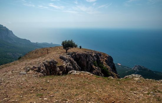 Mediterranean landscape. Forested rocks of the Black Sea coast of the southern coast of the Crimean Peninsula on a clear sunny day.