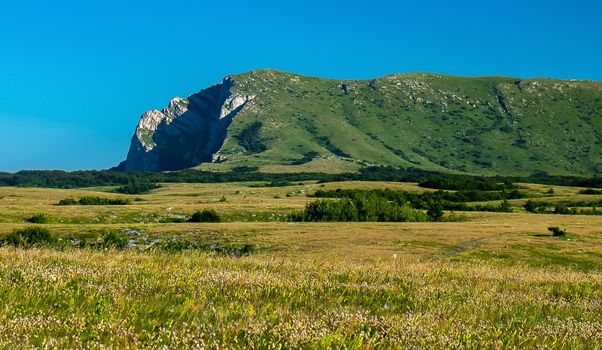 View of the upper plateau Chatyr-Dag in Crimea on a bright sunny day.